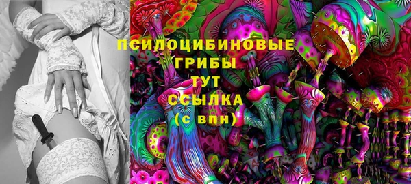 apvp Верхний Тагил