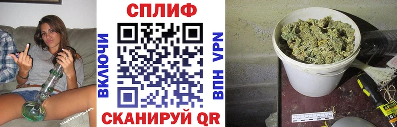 Конопля планчик Купить закладки Белоозёрский